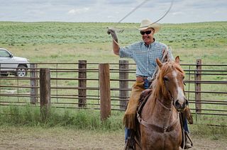 Flying Diamond Ranch