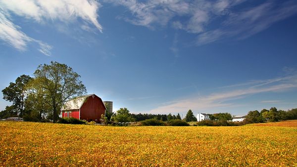AdobeStock_9696026