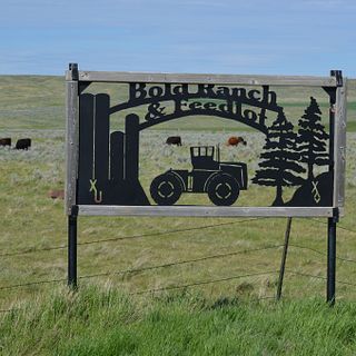Bold Ranch