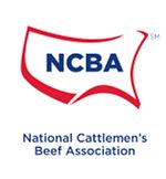 NCBA Vertical Logo 4C