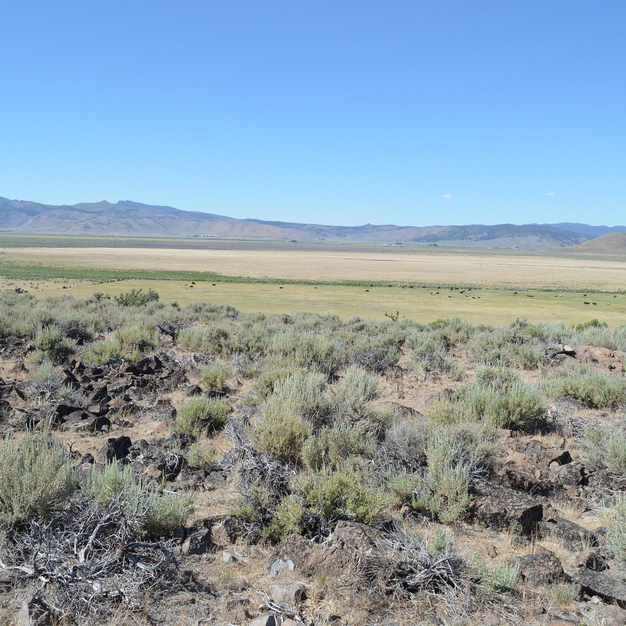Sparrowk Ranch