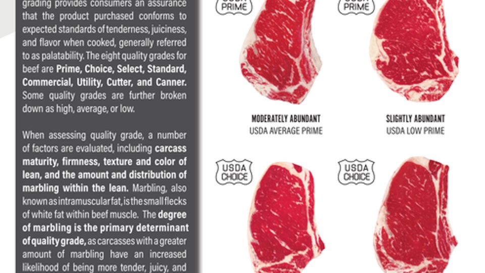 Understanding Marbling