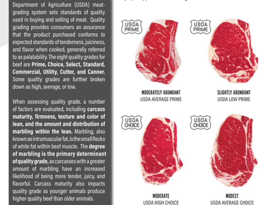 USDA Understanding Marbling