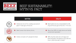 Beef Sustainability_FactVsMyth_2021