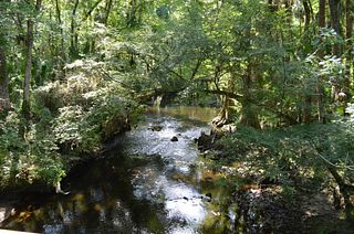 Two Rivers Ranch