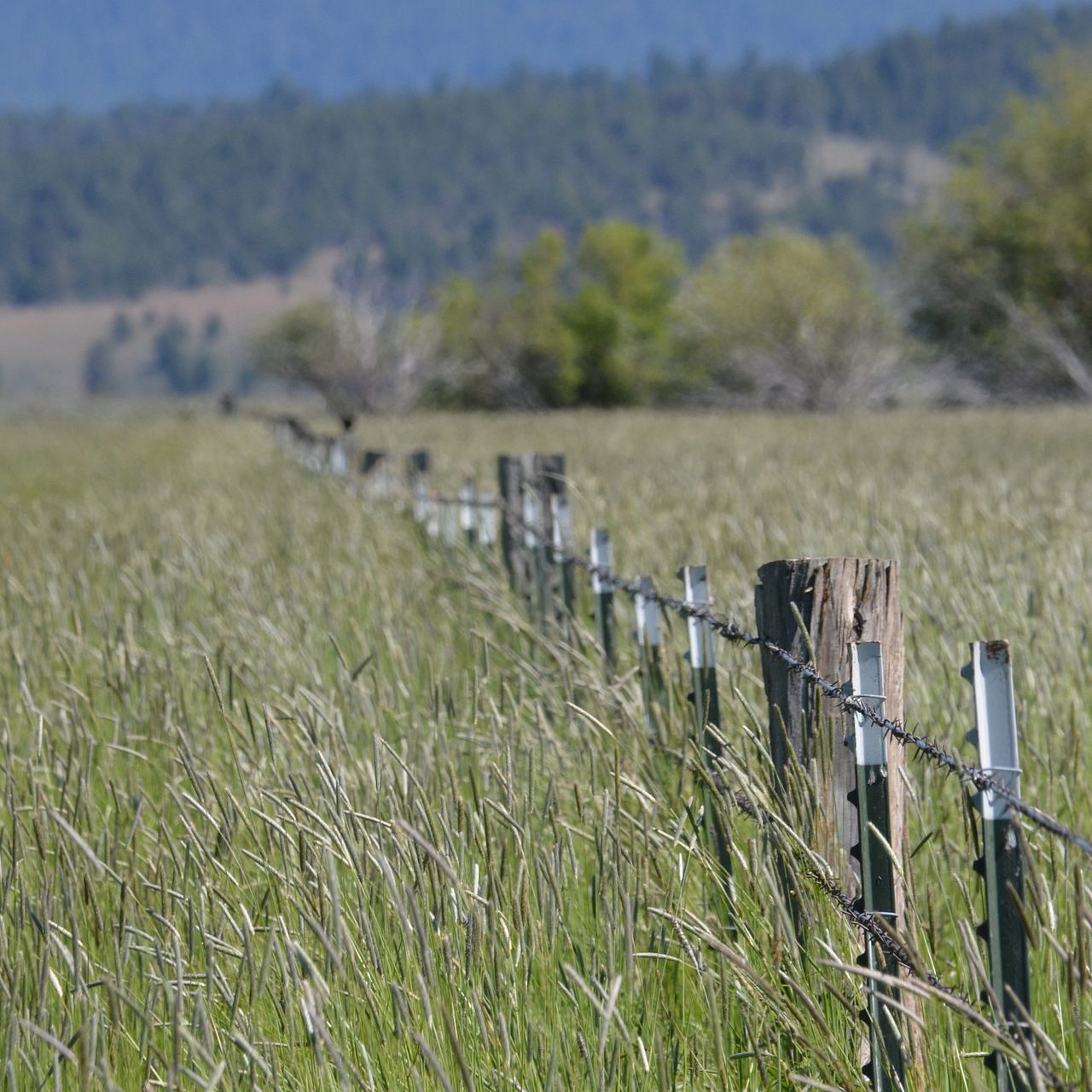 Sparrowk Ranch