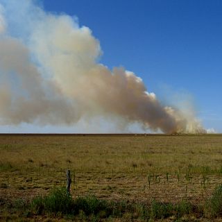 Grazing Prevents Wildfires