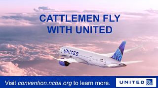 United Travel