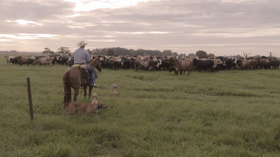 Barthle Brothers Ranch
