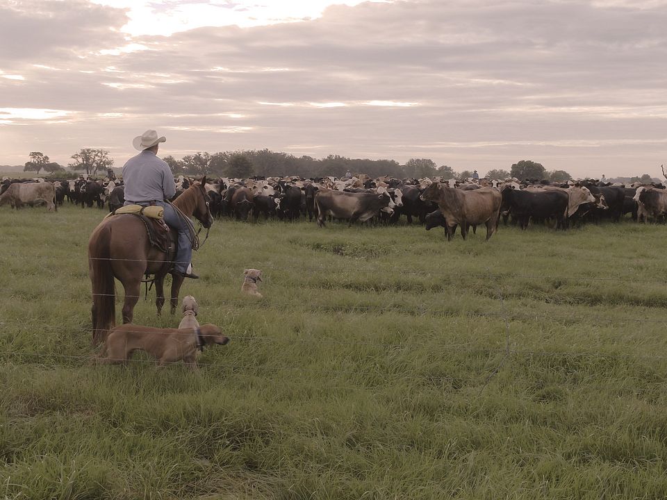 Barthle Brothers Ranch