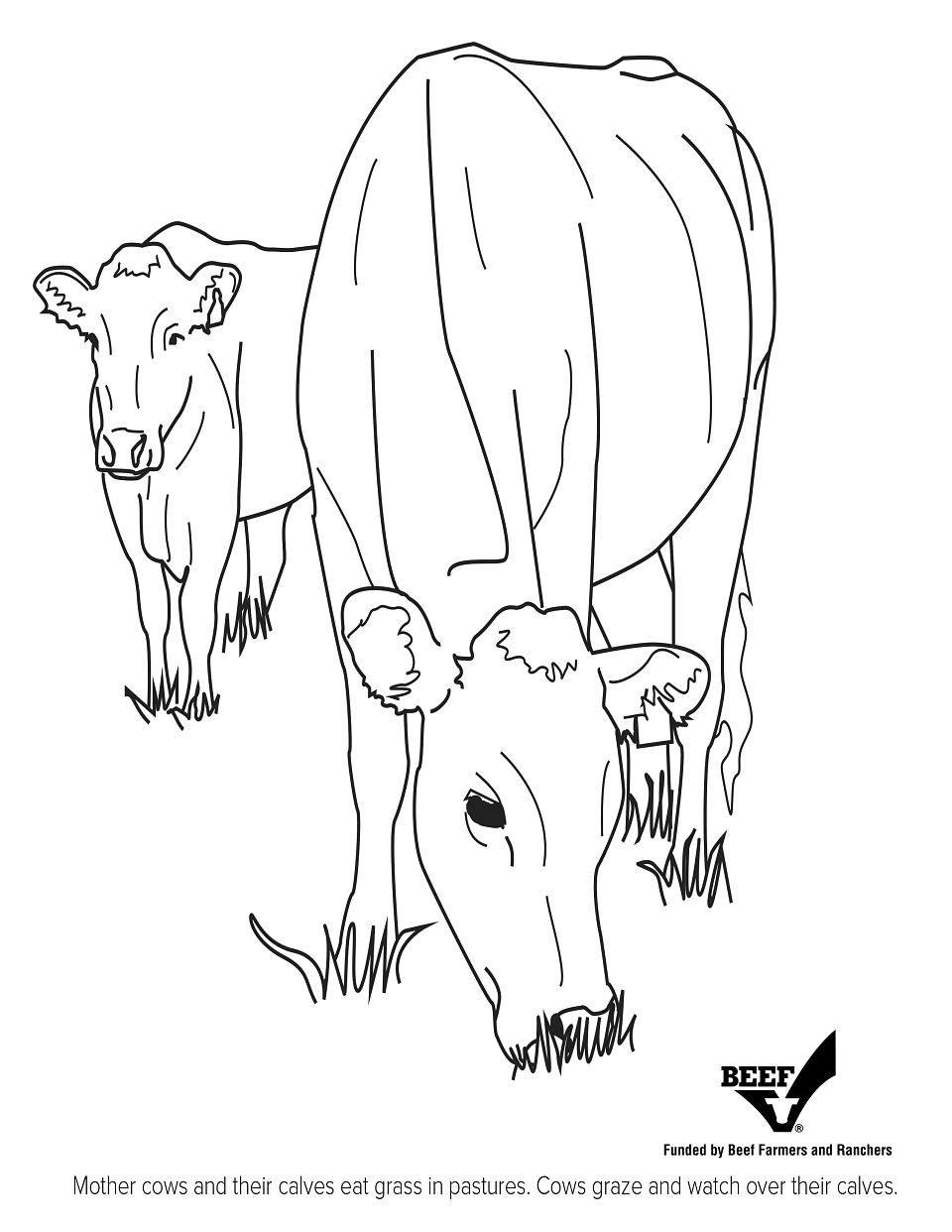 Mother Cows Coloring Page