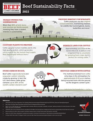 2022 Sustainability Facts