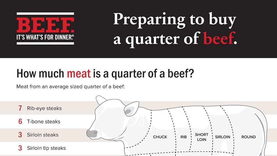 Preparing to buy a quarter of beef