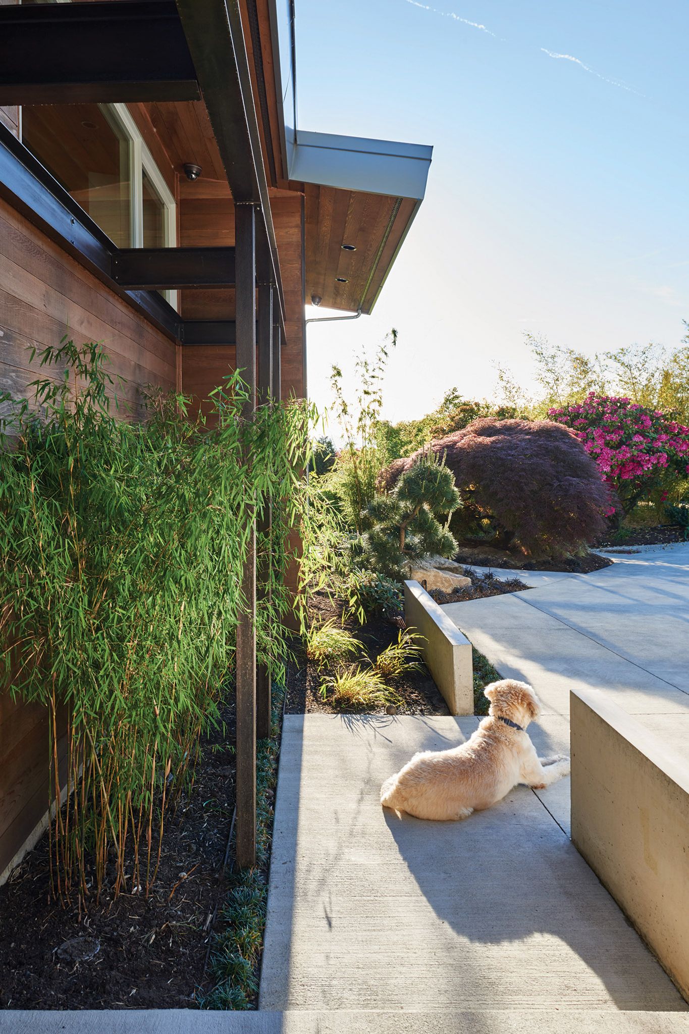 Mid-Century Contemporary Entry Mid Century Contemporary