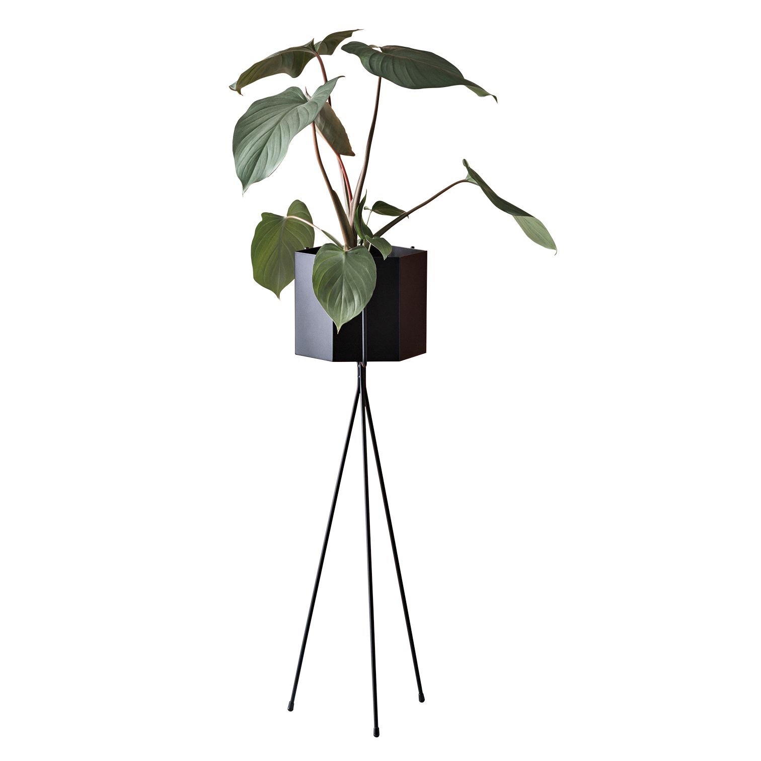 Welcome Home Nelson Cigar pendant lamp from Design Within Reach