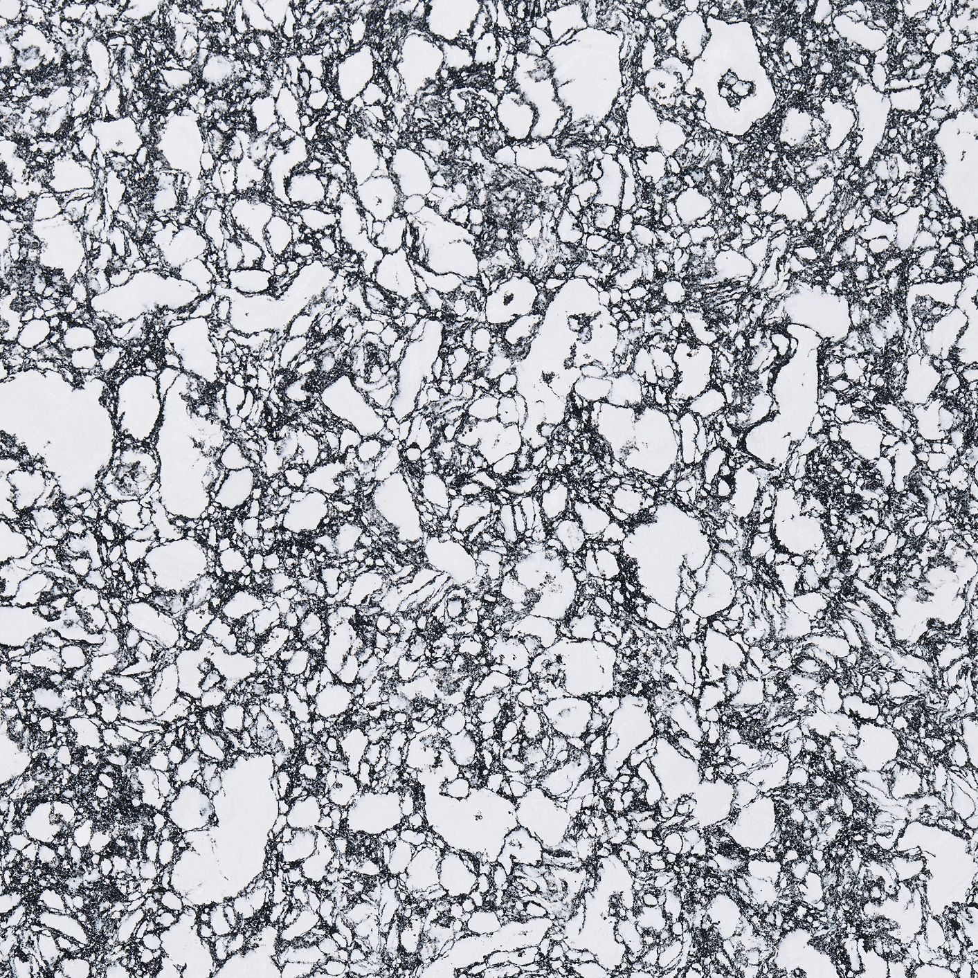 Cambria Rose Bay design detail