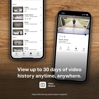 30 days of video history