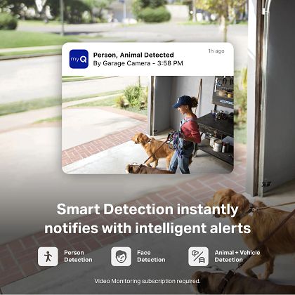 Pet Detection