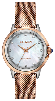 Ladies eco drive watches sale Clearance