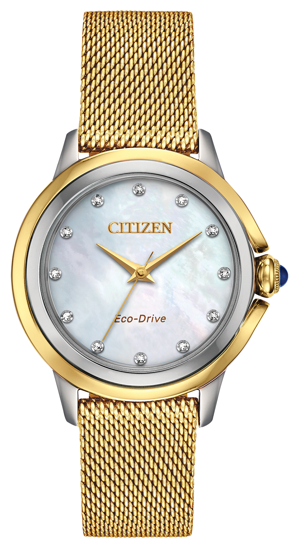 citizen ceci watch