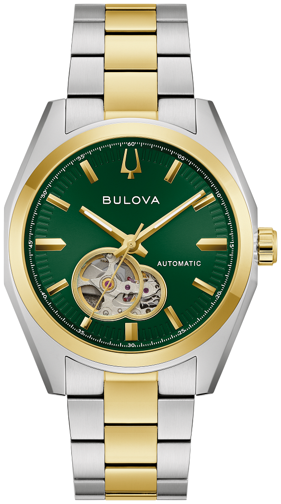 Surveyor