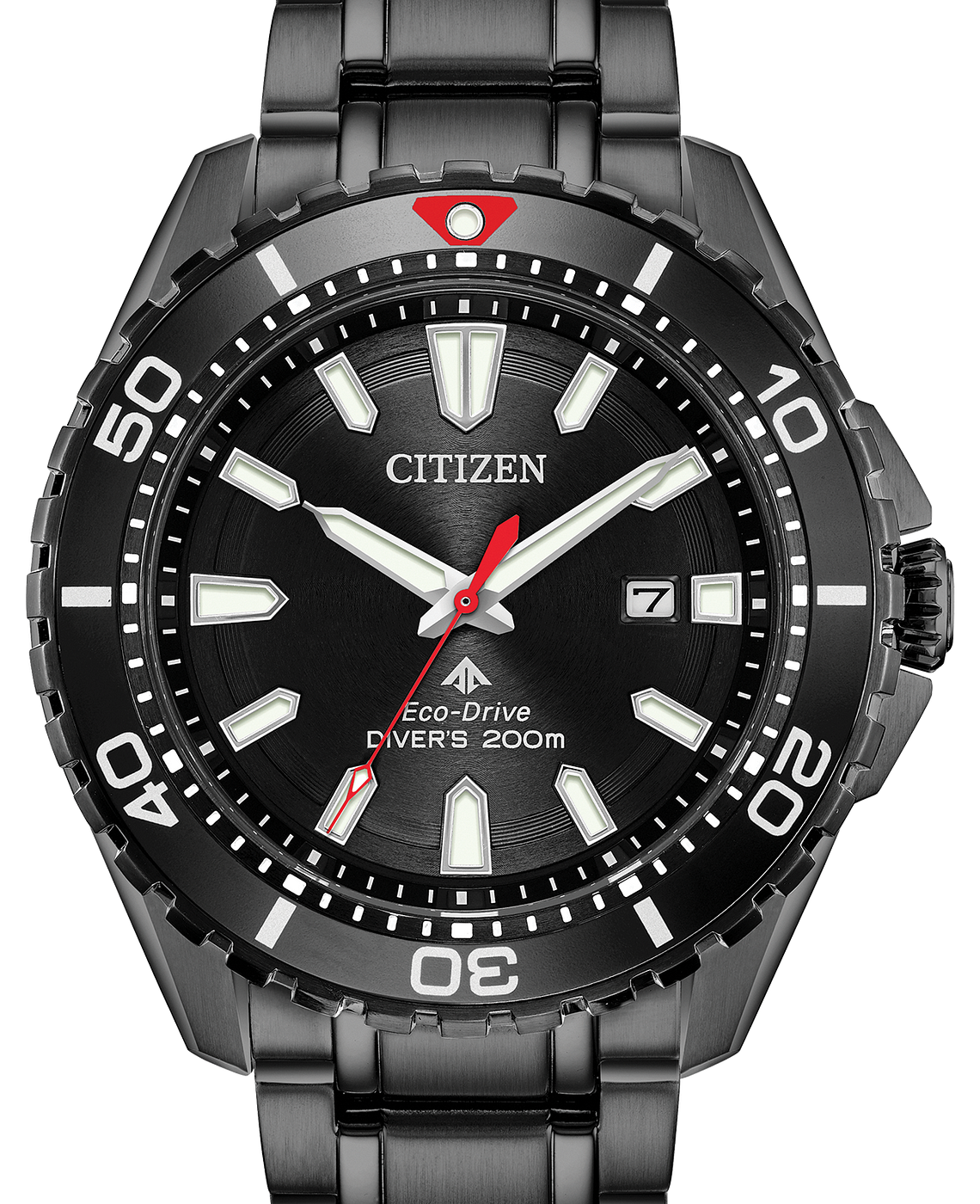 citizen promaster diver black