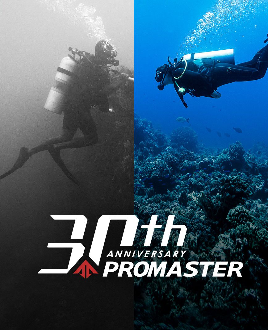 Citizen Promaster Sea Dive Sport Watches Citizen