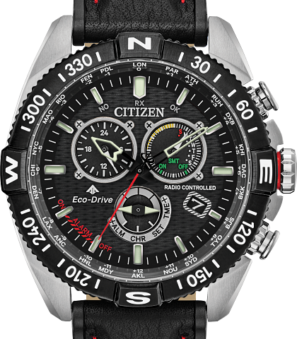 citizen promaster wr200