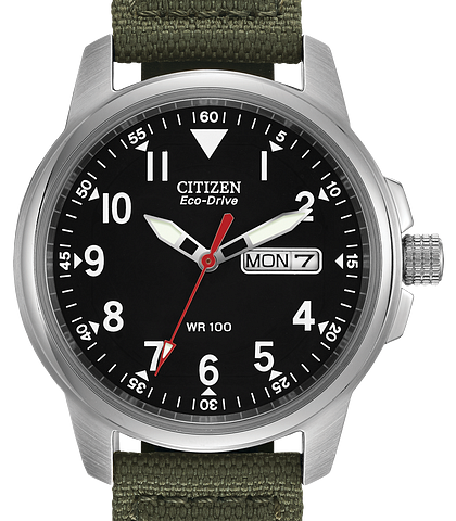 argos citizen promaster