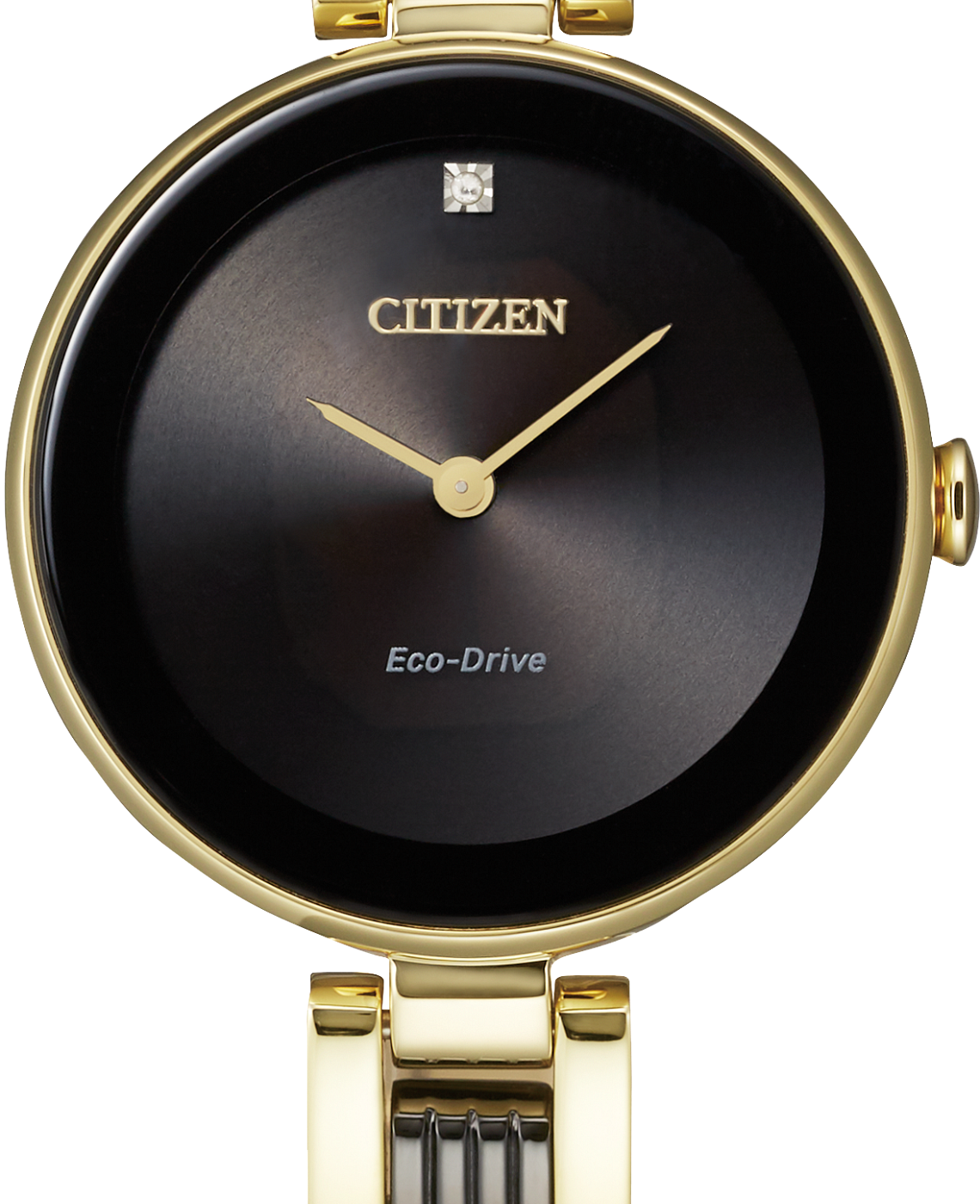 Citizen Ladies Watches Prices In Pakistan 2025