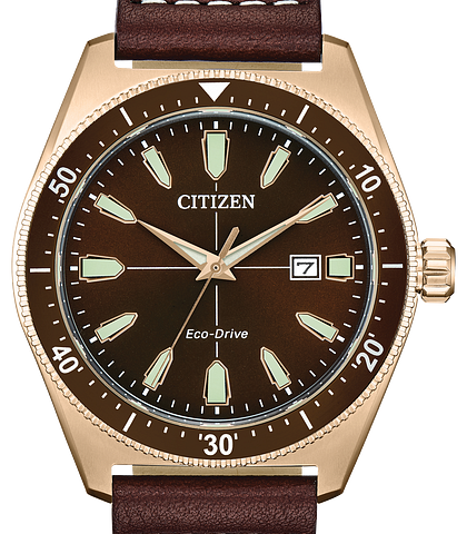 citizen promaster rose gold