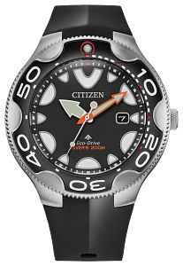 Promaster Dive