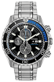 Promaster Diver