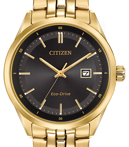 citizen stainless steel