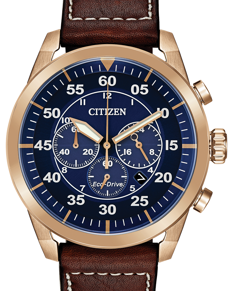 citizen promaster rose gold