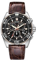 Citizen e820 band Clearance