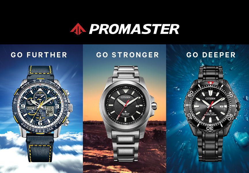 promaster diver titanium