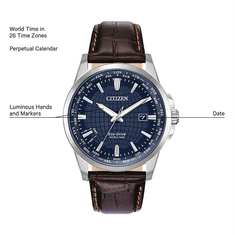 citizen world timer