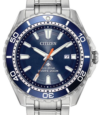 citizen eco drive pro diver