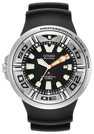 Promaster Diver