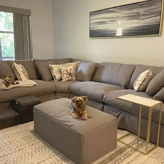 NUMBER NINE スカル & GOTHAM CITY クッションセット Value City Furniture - A dog, a cozy fireplace *and* our Plush