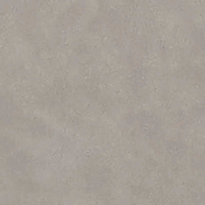 Light Gray Light Gray