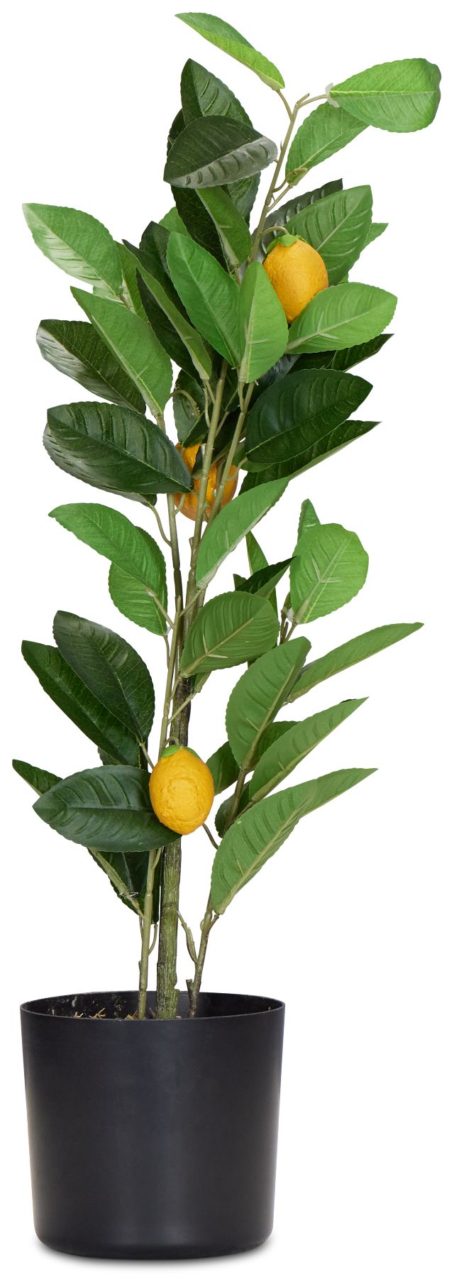 Lemon Green 23" Tree
