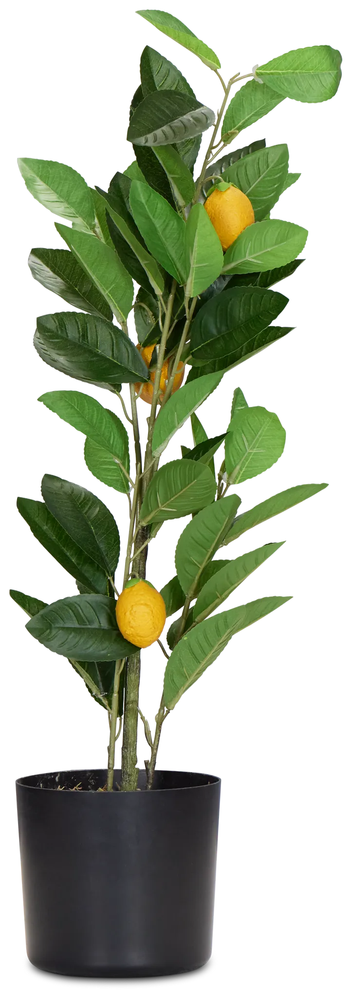 Lemon Green 23" Tree