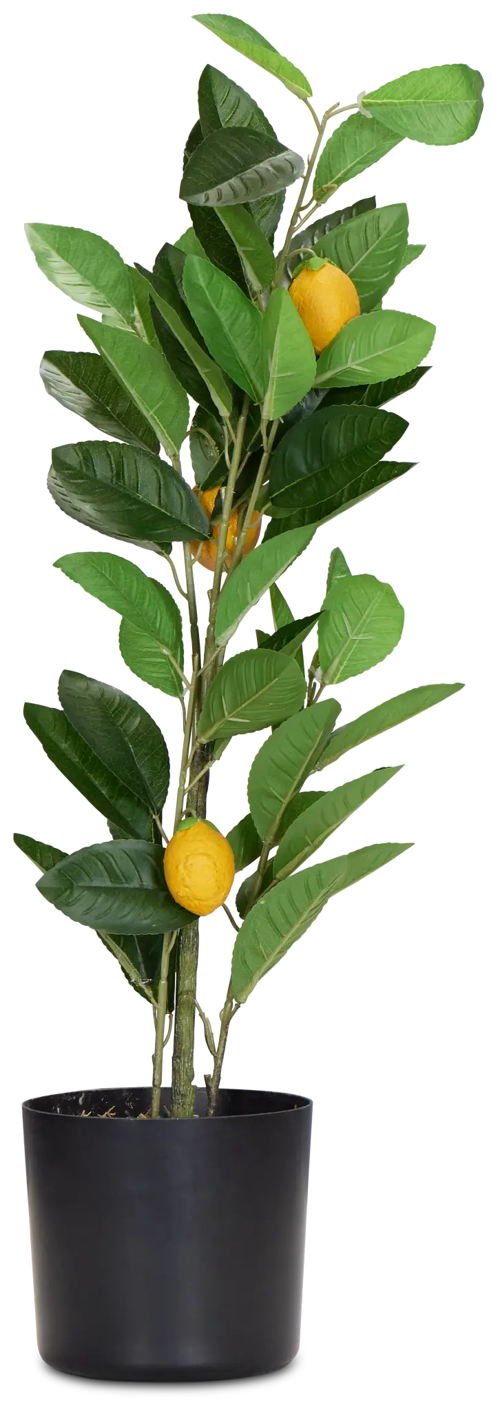 Lemon Green 23" Tree Lemon Green 23" Tree