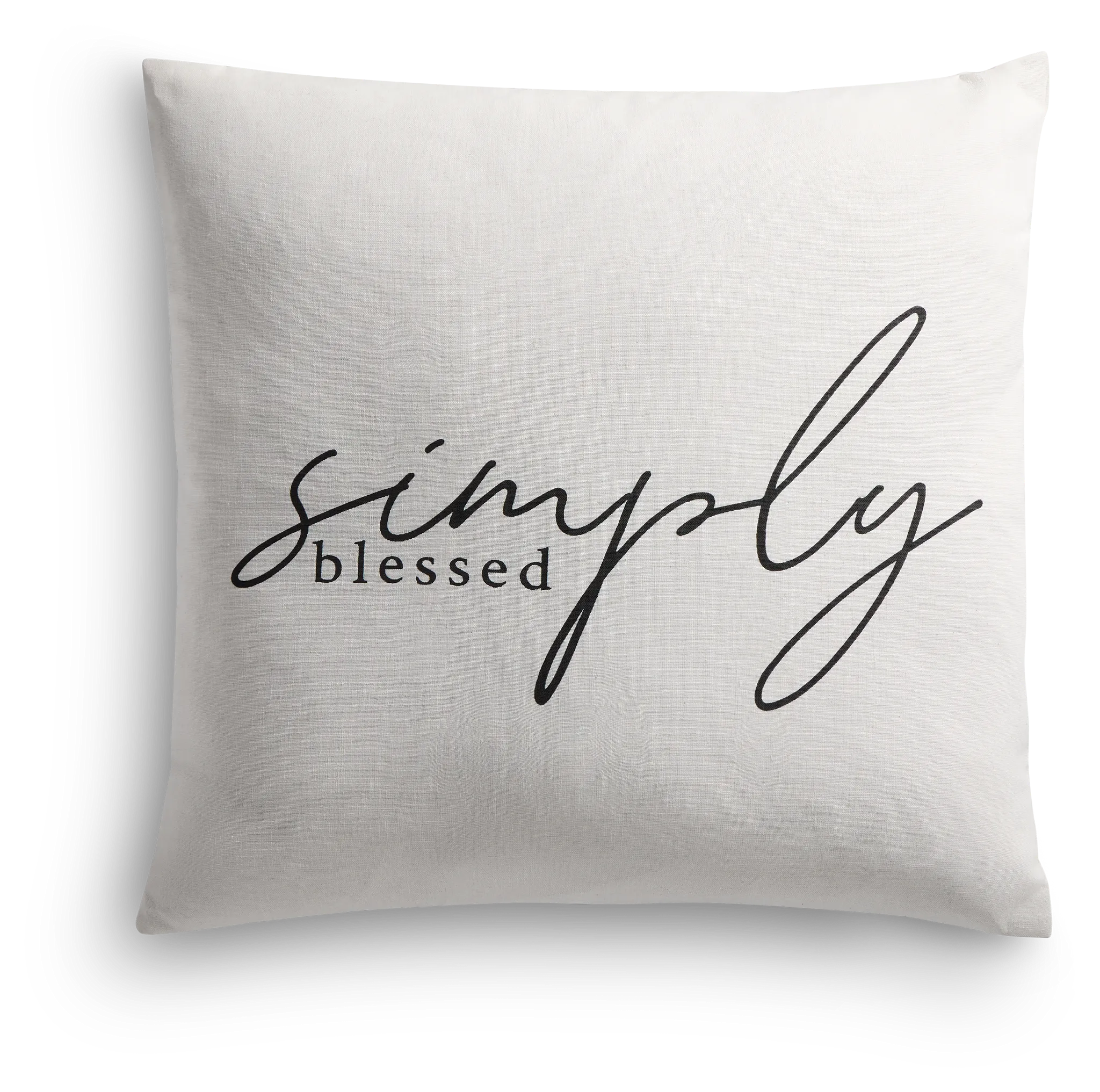 Blessed Ivory 22" Square Accent Pillow