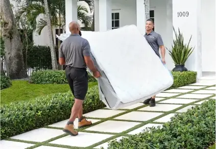 CITY Moves CITY Moves