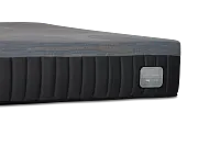 Kevin Charles By Sealy Hybrid 12.25" Plush Mattress