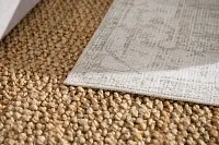 Rosella Light Green 5x7 Area Rug