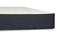 Perfect Sleeper Decatur Street Plush Mattress Set